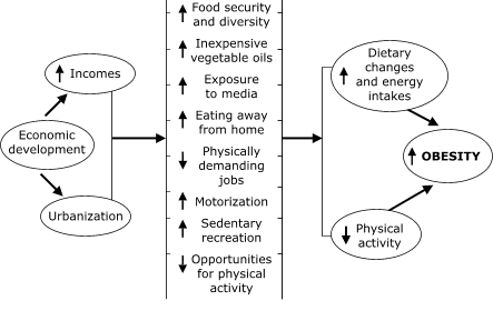 Flow chart diagramming the paragraph above.