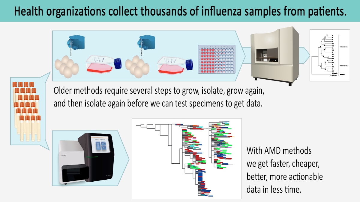 influenza-vaccine-amd Diagram showing sample vials following two paths. Older methods require several steps before the samples can be sequenced to get simple data we can use. With AMD methods require fewer steps to provide more detailed data.
