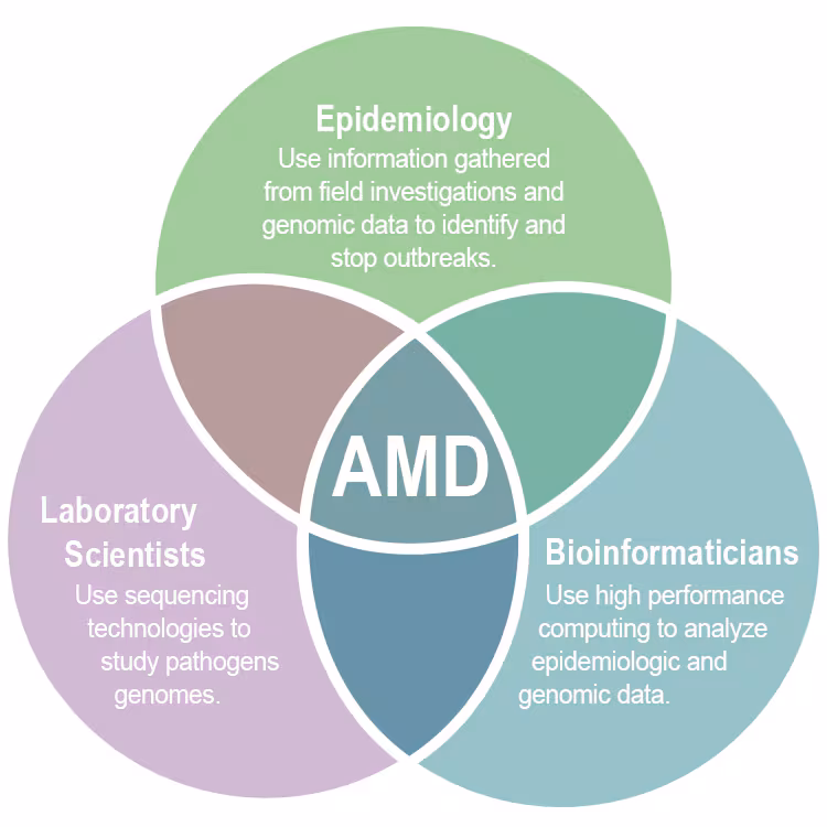 Test Venn diagram with AMD in the center surrounded by Epidemiologists, Laboratory scientists, and Bioinformaticians.