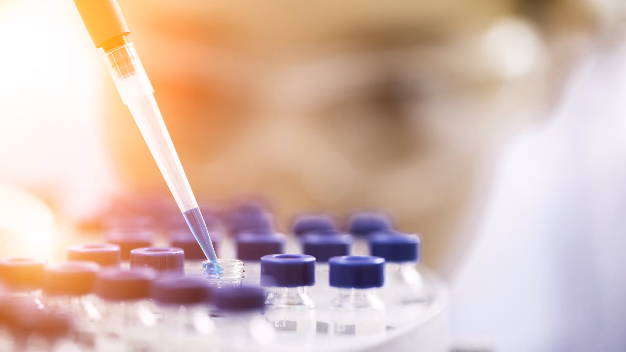 experiments in laboratory