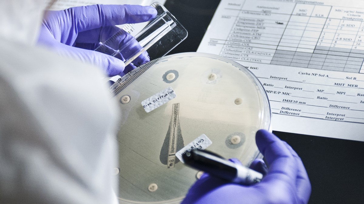 LAARC Thumbnail Laboratorian working in the lab.