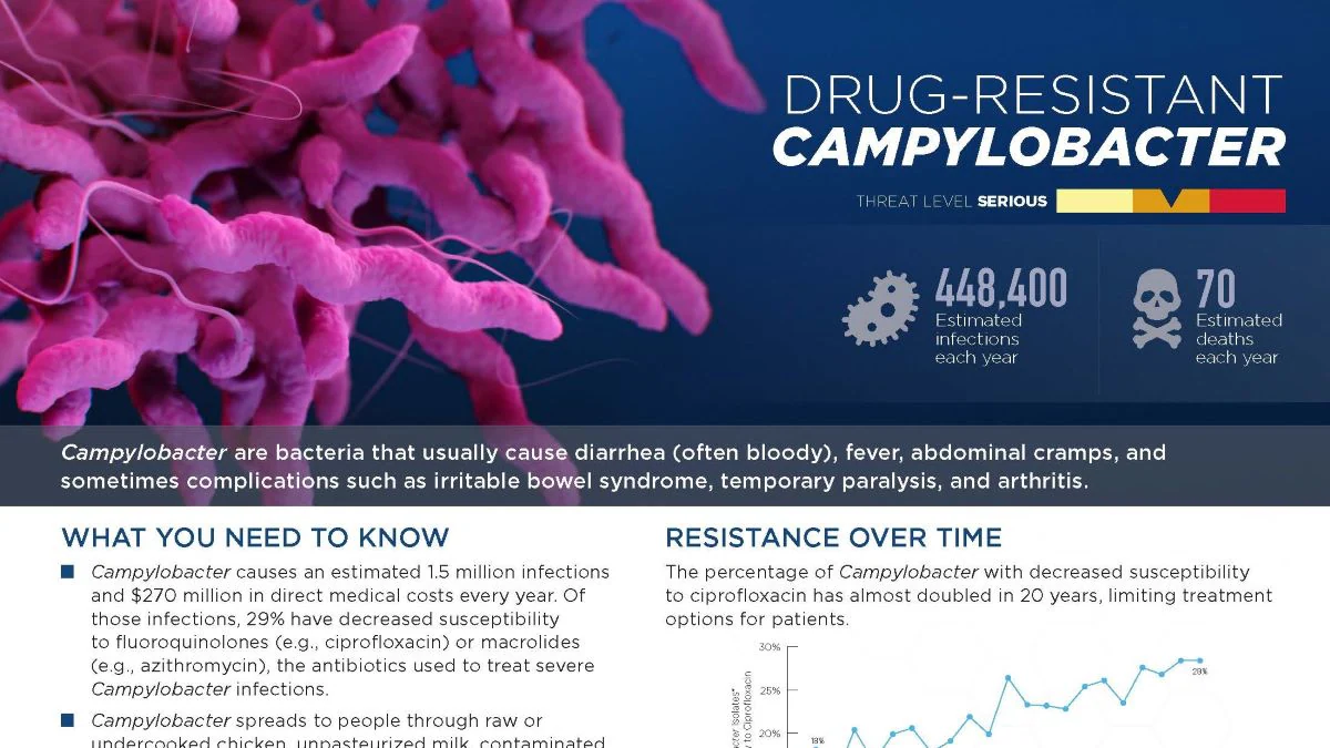 campylobacter thumbnail campylobacter thumbnail