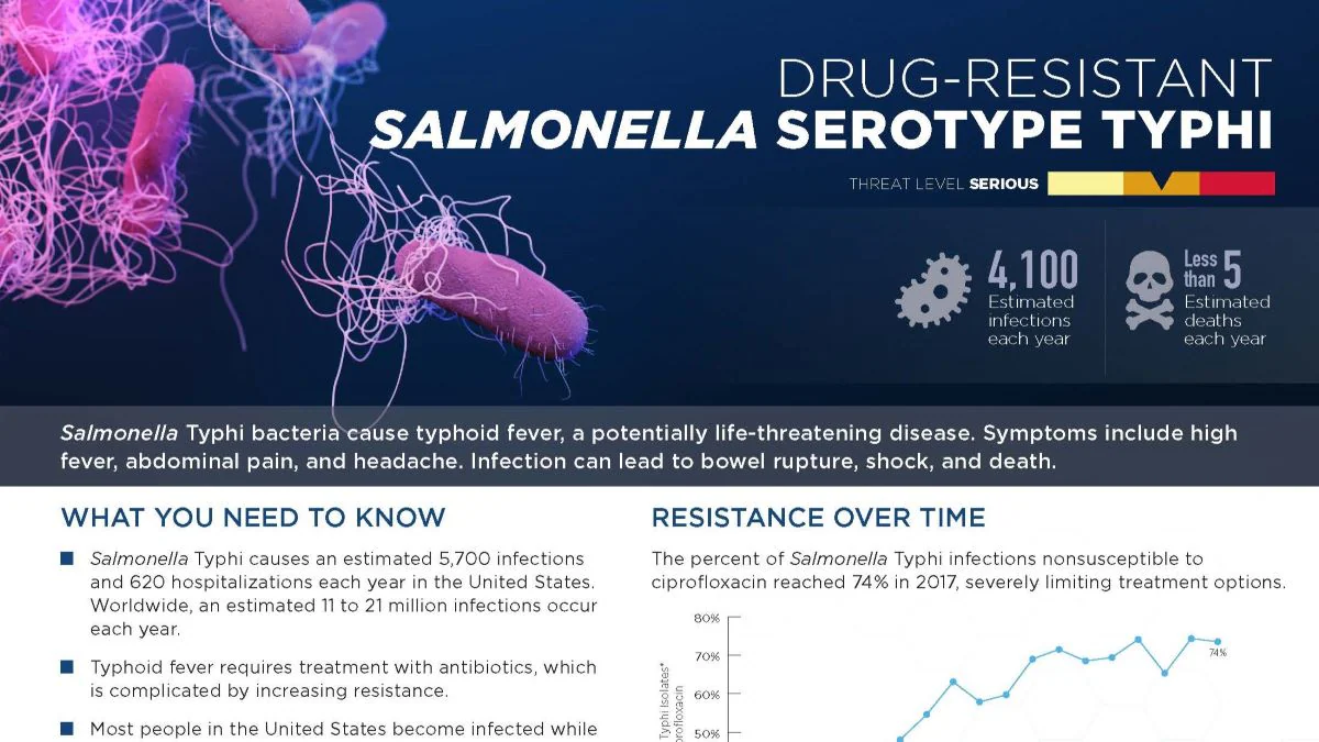 salmonella typhi pathogen page thumbnail salmonella typhi pathogen page thumbnail
