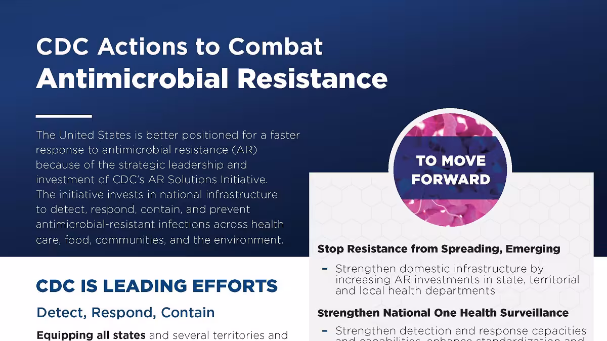 Thumbnail image of the AR Solutions Initiative fact sheet