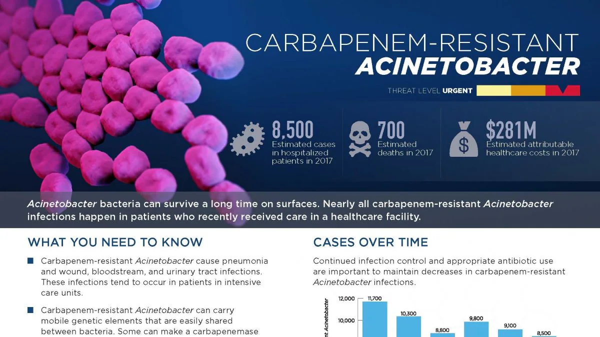 carbapanem-resistant acinetobacter thumbnail Carbapanem-resistant acinetobacter thumbnail