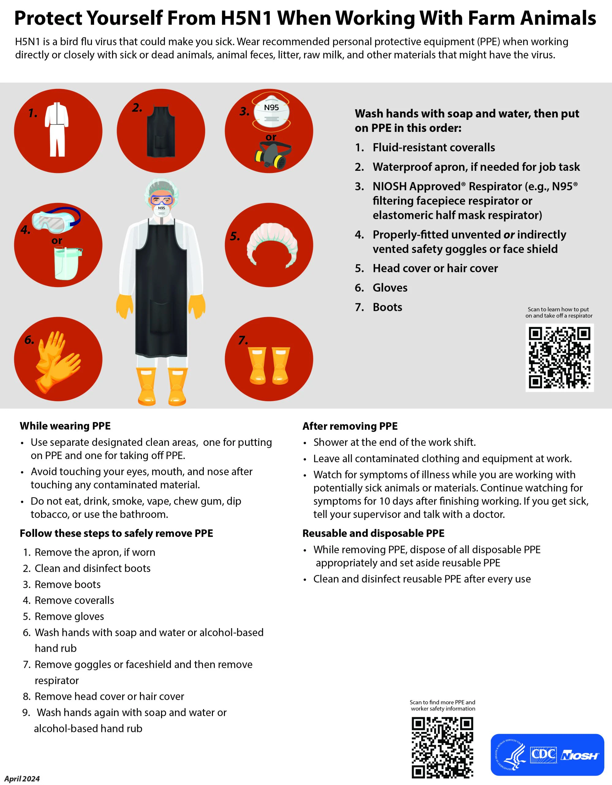 Protect Yourself From H5N1 When Working With Farm Animals Protect Yourself From H5N1 When Working With Farm Animals