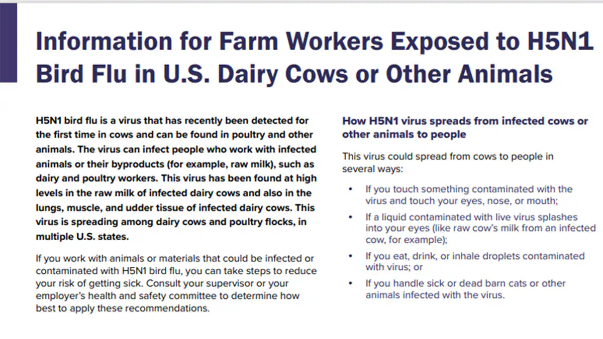 If you work with dairy cows, or other animals that could be infected with H5N1 bird flu, there are actions you can take to reduce your risk of infection.