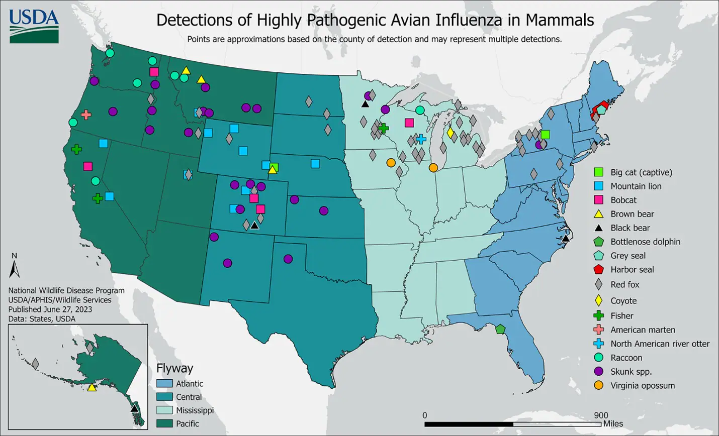 USDA APHIS | 2022-2023 Detections of Highly Pathogenic Avian Influenza in Mammals map of United States Detection of Highly Pathogenic Avian Influenza in Mammals with different colored dots for different mammals