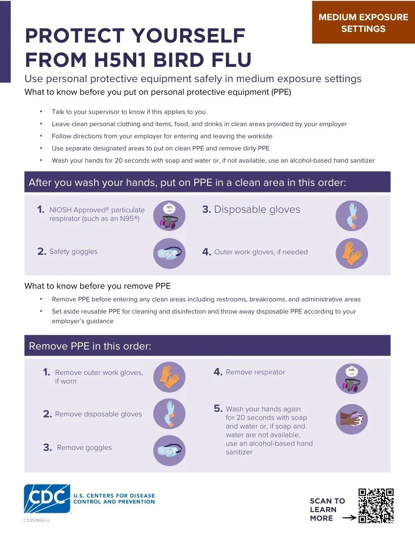 Protect Yourself From H5N1 Bird Flu Protect Yourself from H5N1 Bird Flu