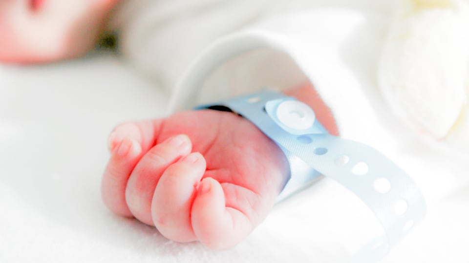 Newborn in hospital Hand of newborn with hospital bracelet.