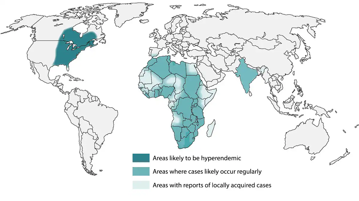 Map showing approximate area with the presence of Blastomyces in the U.S.