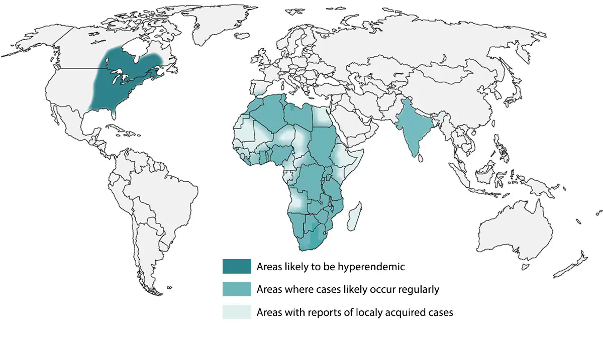 Map showing approximate area with the presence of Blastomyces in the world
