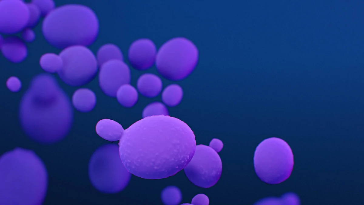 medical illustration of c. auris Medical illustration of C. auris