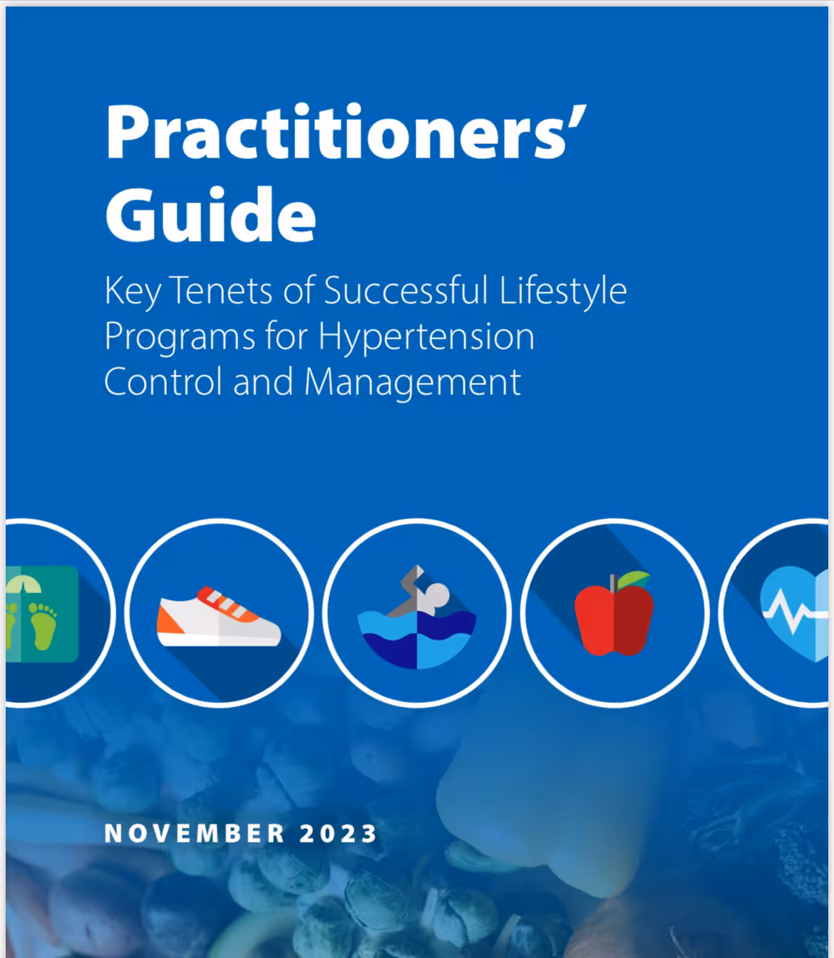 Practitioner's Guide Image of Practitioner's Guide cover