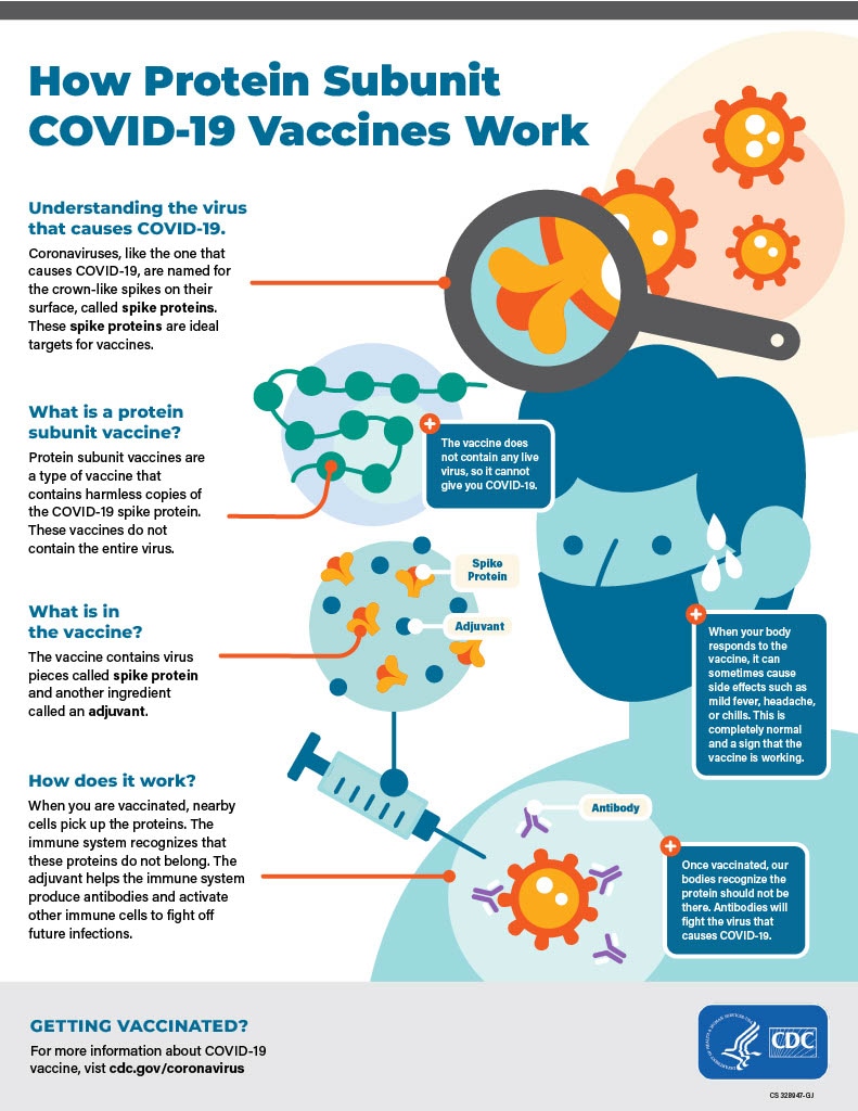How Protein Subunit Vaccines Work Illustration of how protein subunit COVID-19 vaccines work.