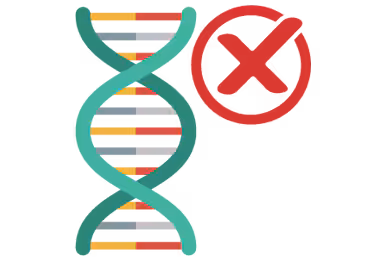 The DNA double helix