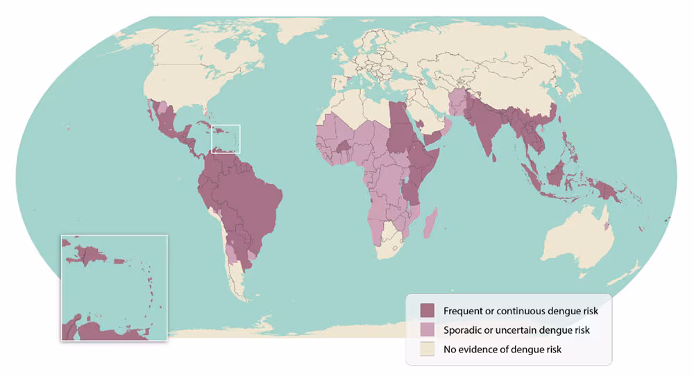 Map of areas with dengue risk in the world showing frequent dengue activity, sporadic dengue activity, and no evidence of dengue risk.