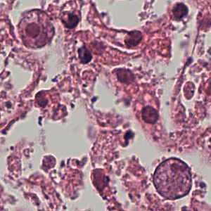 November - 2006 - Case #192