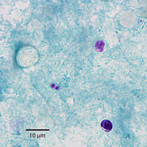 February - 2010 - Case #269