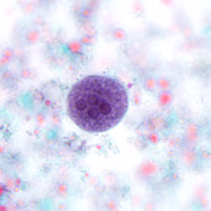 July - 2010 - Case #280