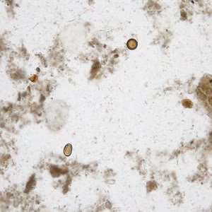 August - 2010 - Case #281