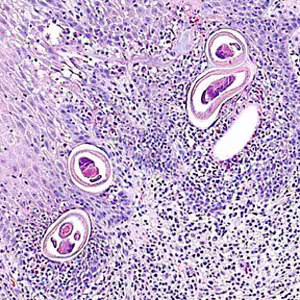 September - 2010 - Case #283