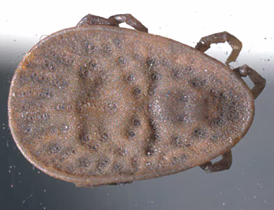 July - 2011 - Case #304