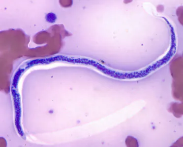 November - 2011 - Case #311