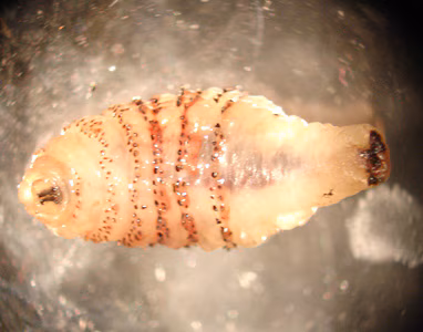 January - 2012 - Case #316