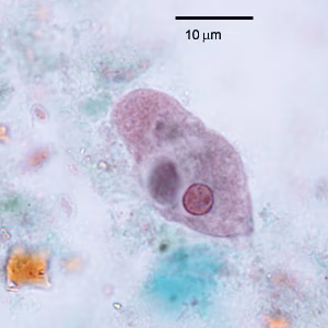 October - 2012 - Case #334