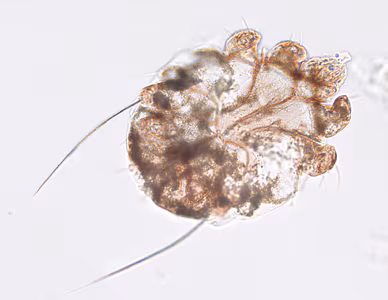 March - 2016 - Case #416