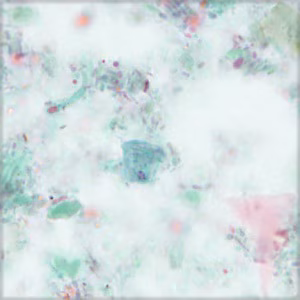 parasitic image