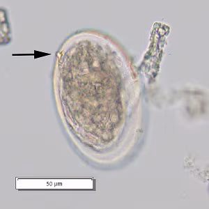 Case_510_B_answer Case_510_B_answer