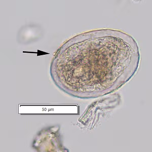 Case_510_D_answer Case_510_D_answer