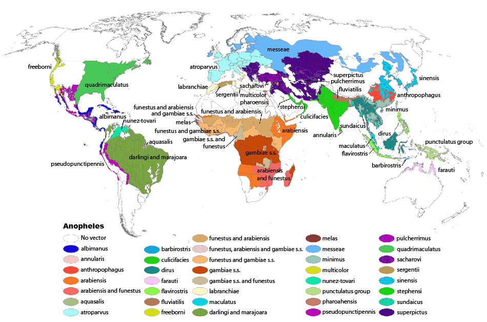 map_950pxWide.gif_5e7d3 Map showing which malaria vectors populate various parts of the world