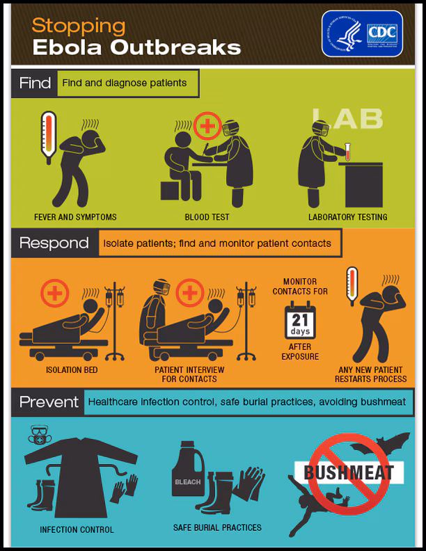 Stopping Ebola Outbreaks