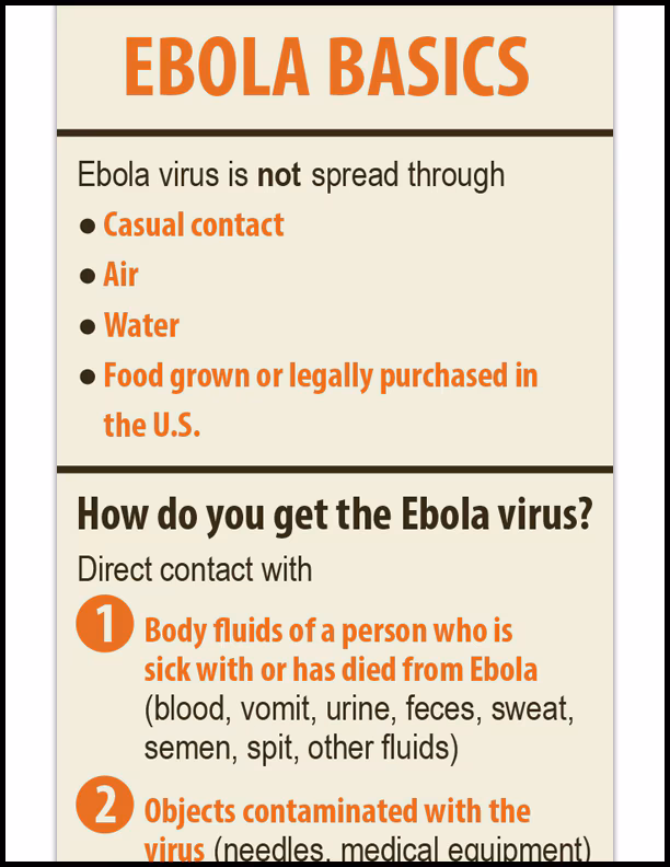 Ebola Basics Infographic