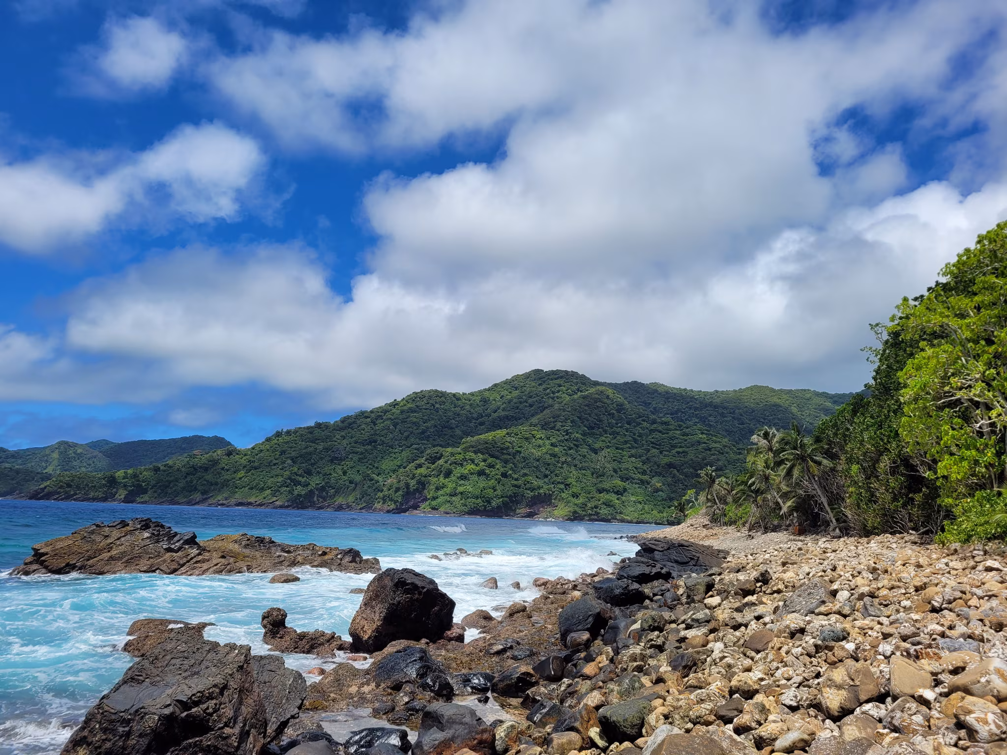 hans-desale-you-went-where National Park of American Samoa features a rocky beach with a mountainous background.