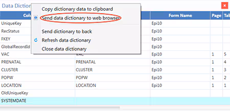 Option to send Data Dictionary to Web