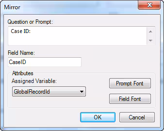 Image showing the Mirror Field Definition Dialog box.