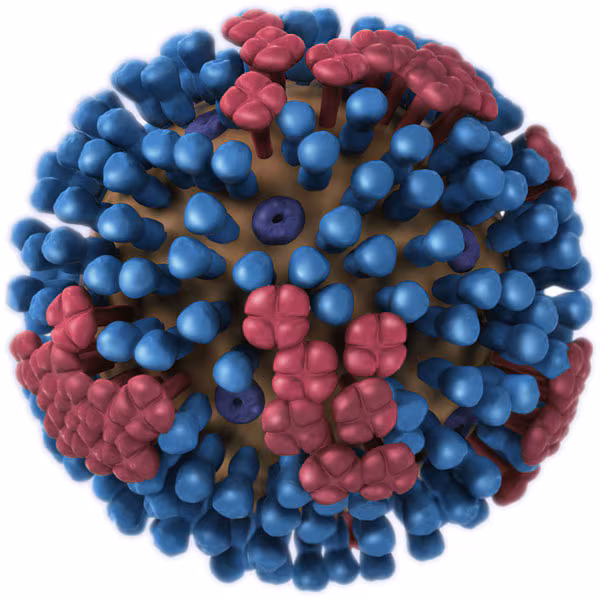 3D View – Full – Multiple Colors 3D View - Full - Multiple Colors