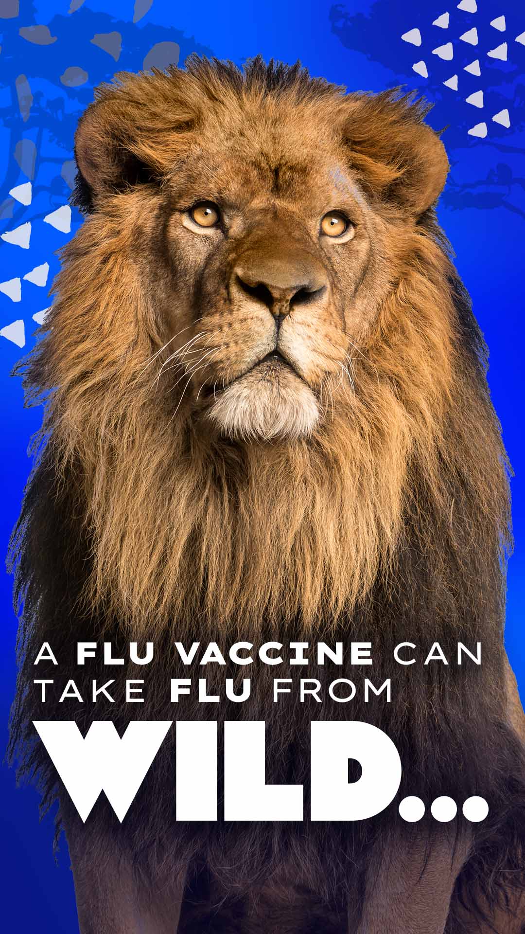 Stories-GenPop_Lion_1080x1920-a A flu vaccine can take flu from wild