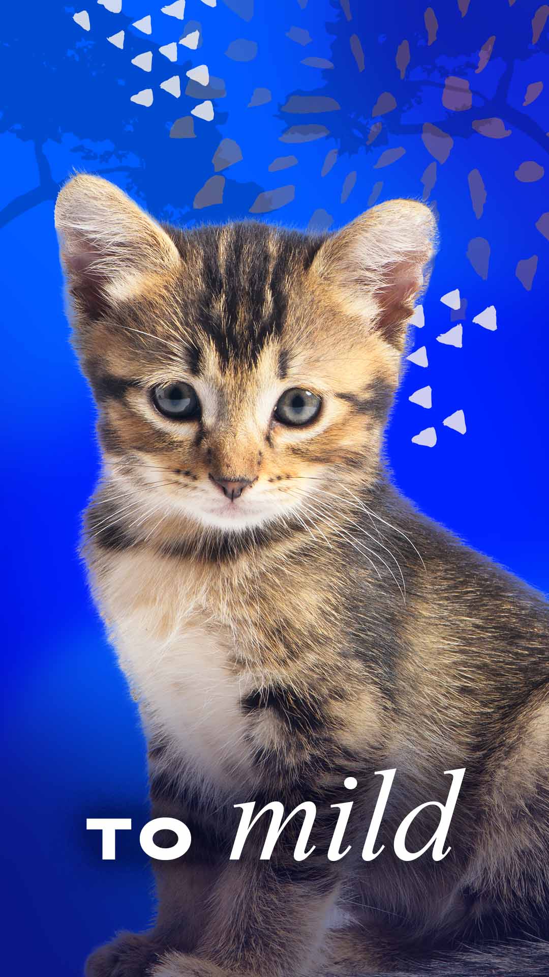 Stories-GenPop_Lion_1080x1920-b to mild