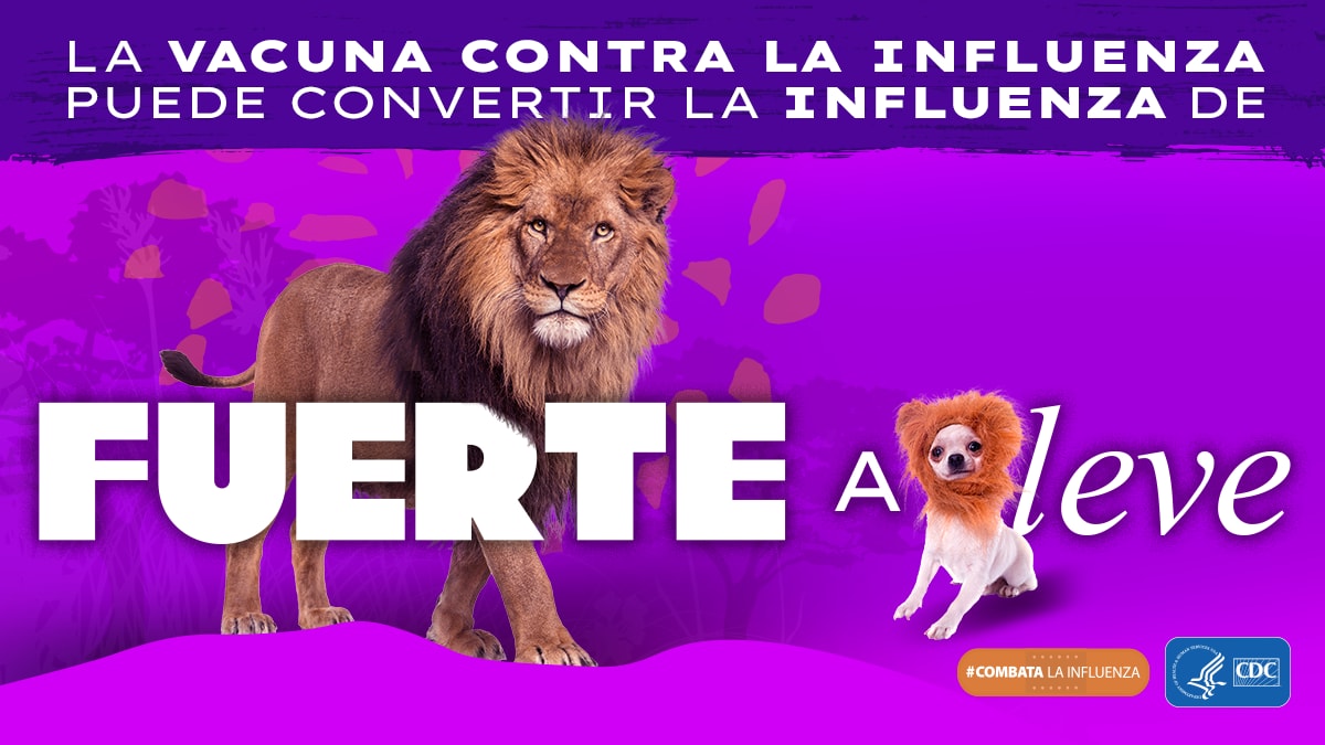 Spanish toolkit General Population Fuerte a leve