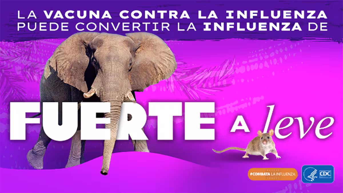 X(Twitter) Wild to Mild Shareable Resource (Spanish) Download and share this social media graphic with your followers