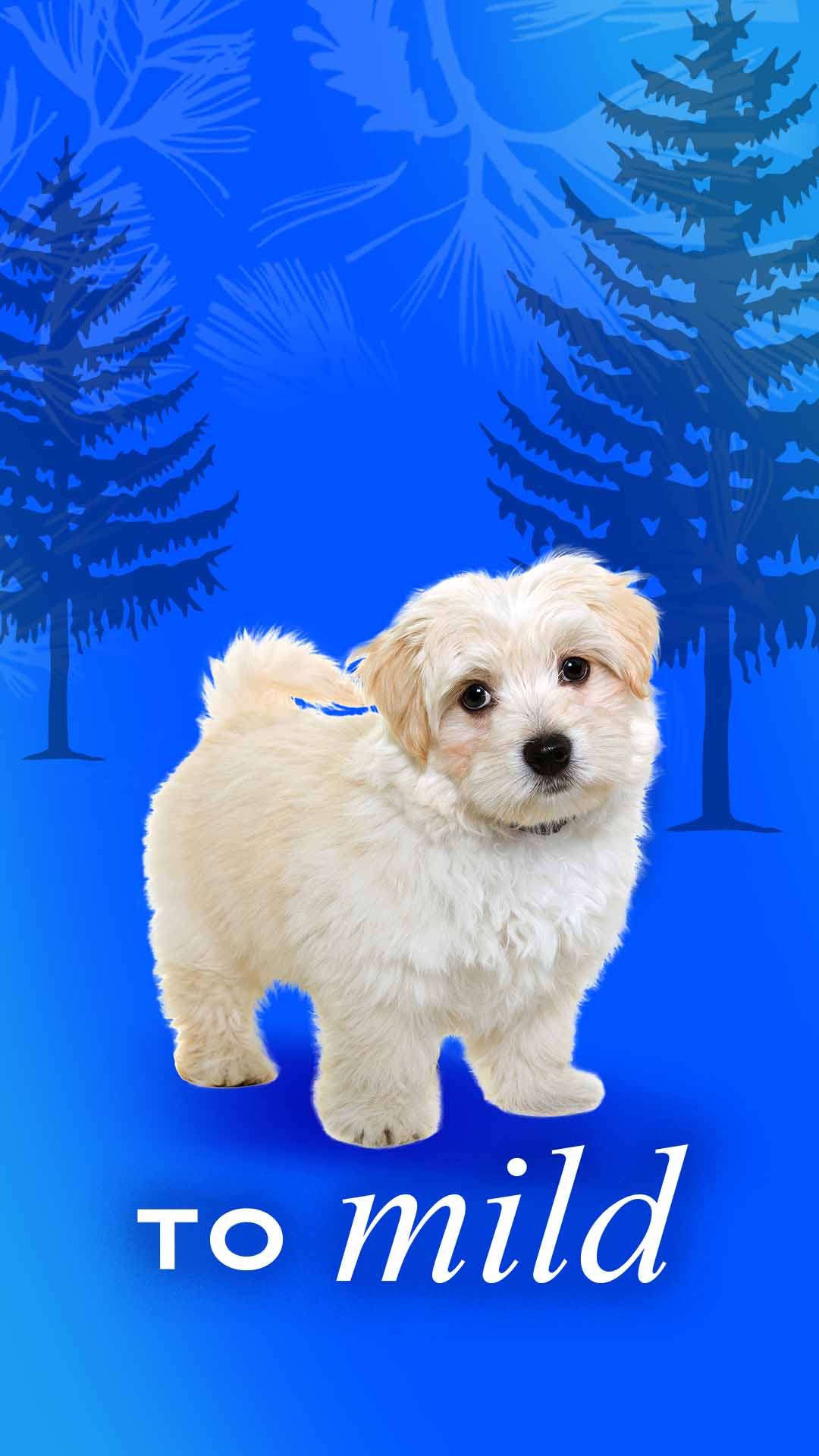 1080x1920 puppy with text: To mild