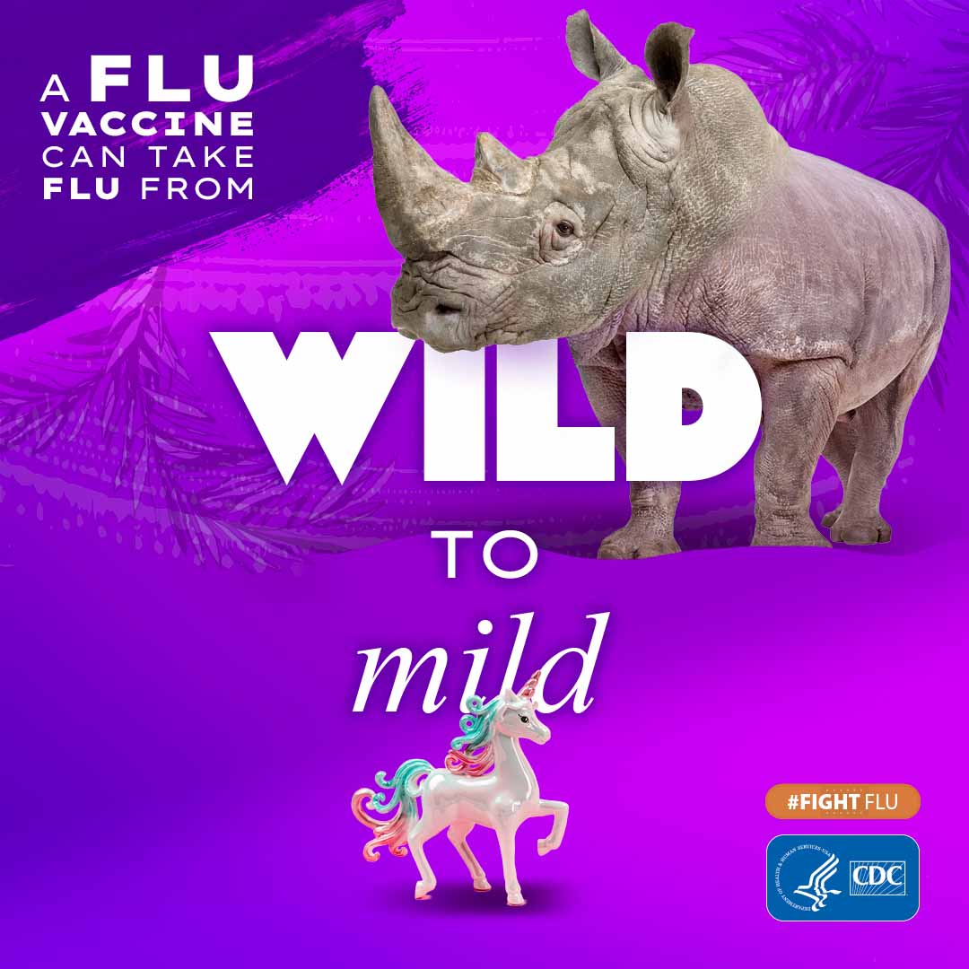 Instagram Wild to Mild Shareable Resource Rhino compared to plastic unicorn with text: A flu vaccine can take flu from Wild to Mild #fightflu cdc logo