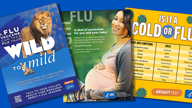 CDC flu communication resources. Left to right: Wild to Mild, poster for pregnant people, and cold vs. flu flyer.