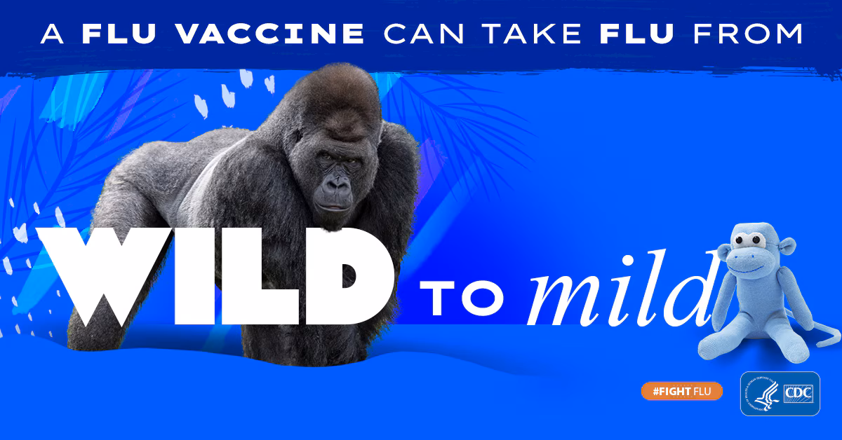 Mild to Wild Gorilla A flu vaccine can take flu from wild to mild gorilla to stuffed monkey toy #fightflu CDC