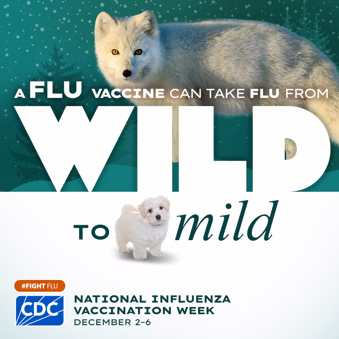 NIVW fox to puppy A flu vaccine can take flu from wild to mild. National Influenza Vaccination Week is December 2-6! #fightflu cdc logo